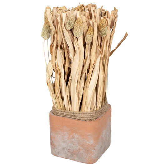 Fluffy Dried Grass Bouquet in Terracotta Pot- Large
