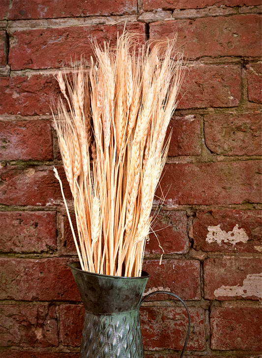 Decorative Dried Wheat 60cm