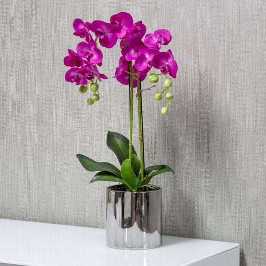 Mint Homeware - Brighter Pink Orchid in Silver Ceramic Pot - 2 Stems