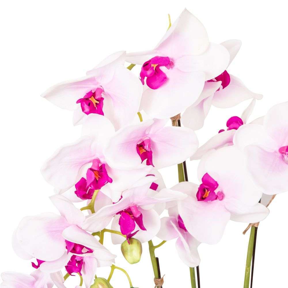 Mint Homeware - Soft Pink Orchid in White Ceramic Pot - 3 Stems