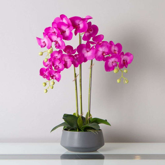 Mint Homeware - Bright Pink Orchid in Light Grey Ceramic Pot - 3 Stems