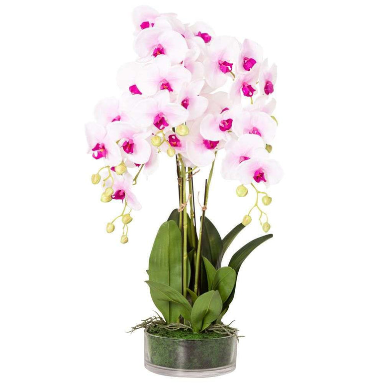 Mint Homeware - Soft Pink Orchid in Glass Pot - 5 Stems