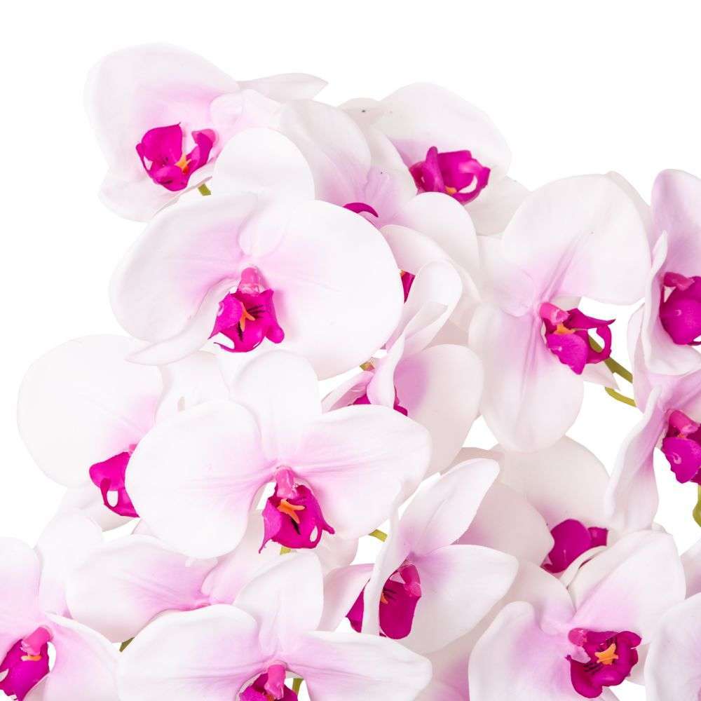 Mint Homeware - Soft Pink Orchid in Glass Pot - 5 Stems
