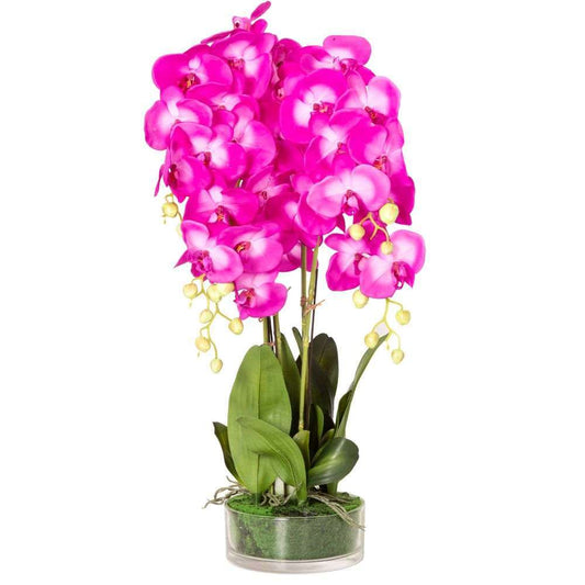 Mint Homeware - Brighter Pink Orchid in Glass Pot - 5 Stems
