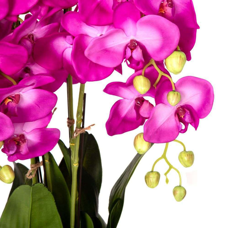 Mint Homeware - Brighter Pink Orchid in Glass Pot - 5 Stems