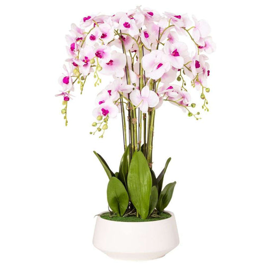 Mint Homeware - Soft Pink Orchid in White Ceramic Pot - 12 Stems