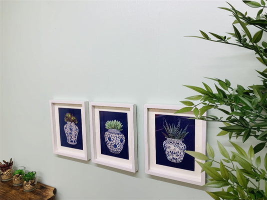 Set of 3 Photo Frames Depicting Succulents In A Blue Vase