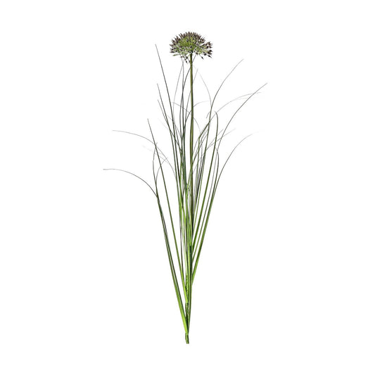 Allium Grass Spray Pack of 5