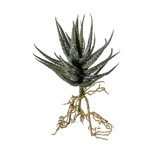 Aloe with Roots Green - Realistic Artificial Plant