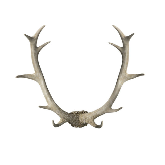 STAGG Whitewash Antler Wall Art - Poly Resin - 100% Cruelty Free