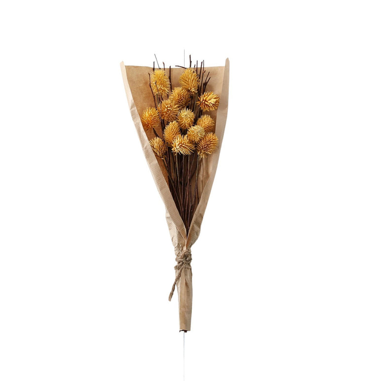 Dried Thistle Bundle in Paper Wrap