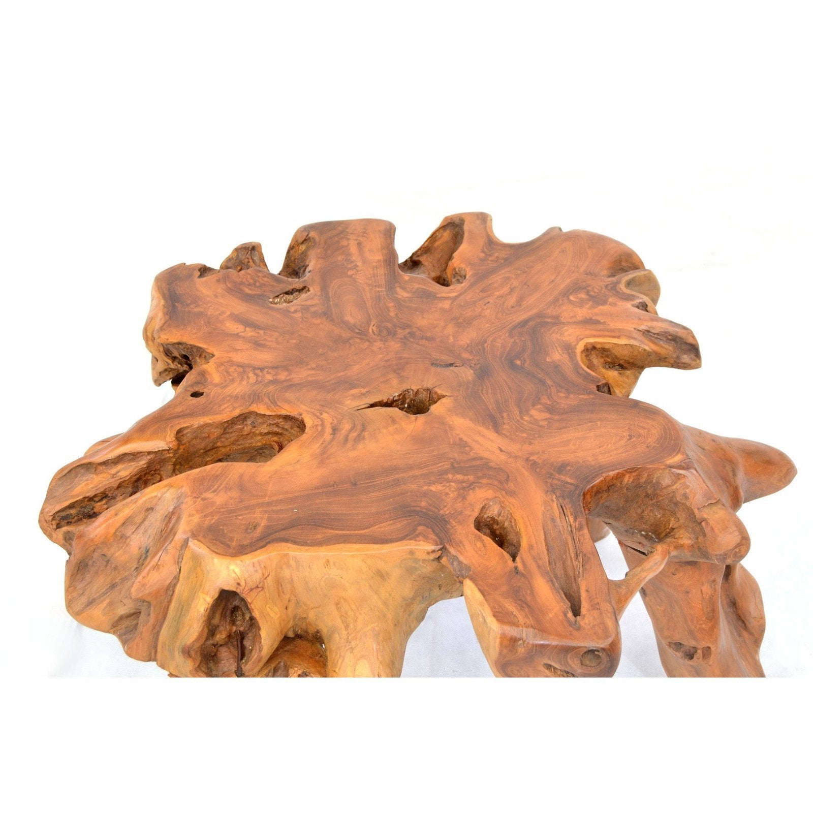 Small Tree Root Coffee Table