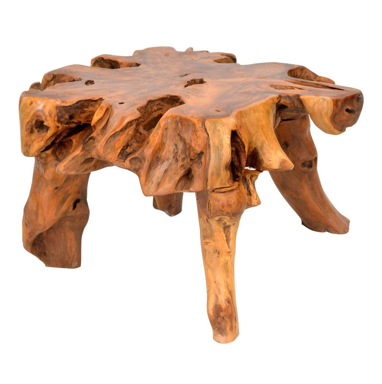 Small Tree Root Coffee Table
